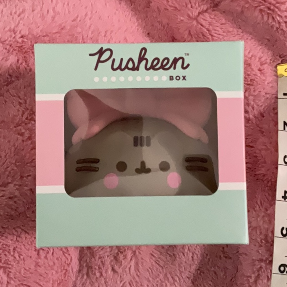 Pusheen Ribbon Bow Vinyl Figure Winter2024 Box